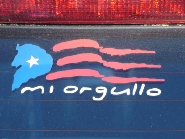 Rear Sticker